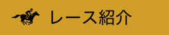 レース紹介