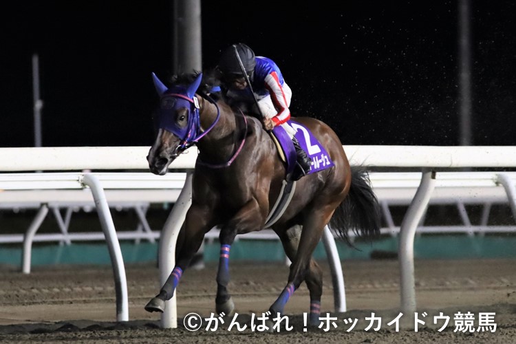 スティールルージュ