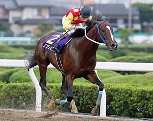 テレ玉杯オーバルスプリント杯