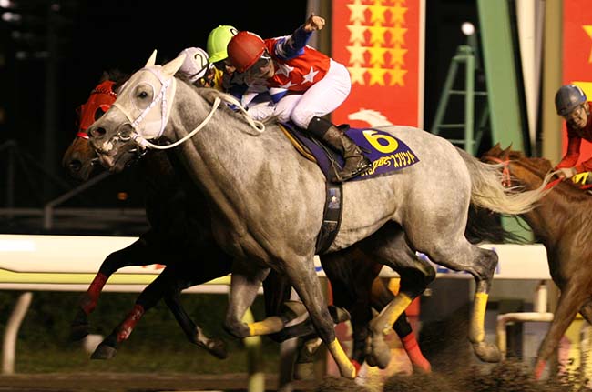 JBC過去の熱戦 第6回～第10回｜JBC2022特設サイト