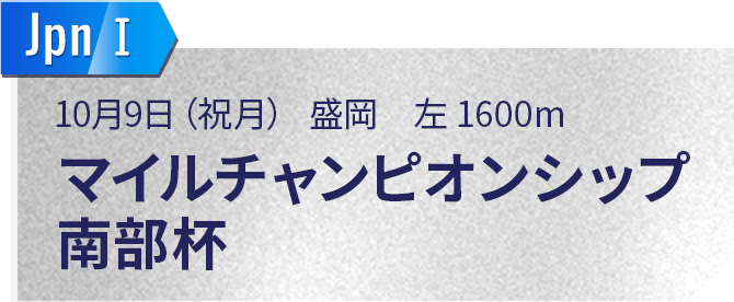 マイルチャンピオンシップ南部杯