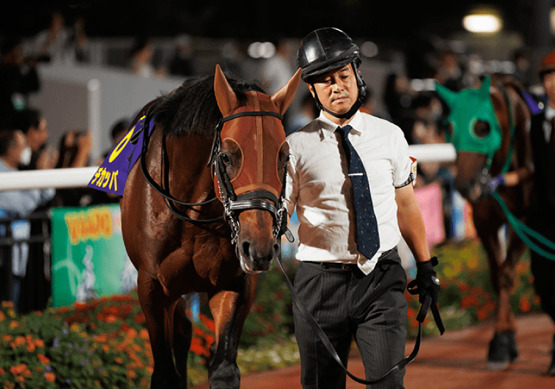 競馬と生産の関係