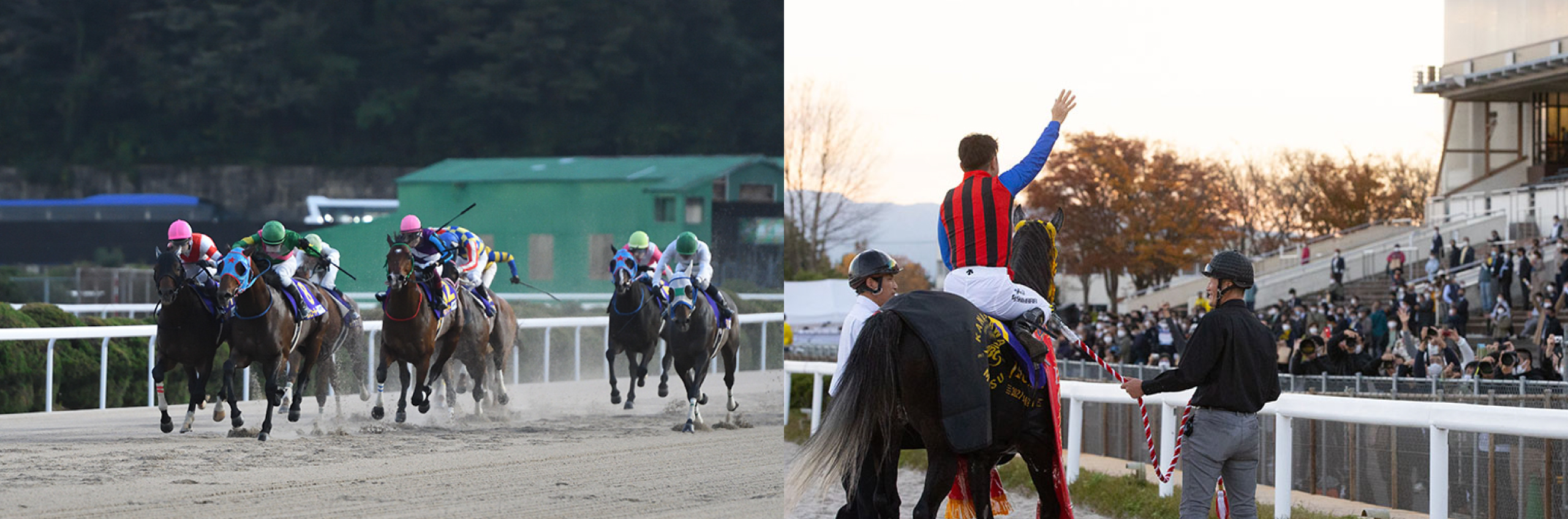 本家ブリーダーズカップ創設の背景