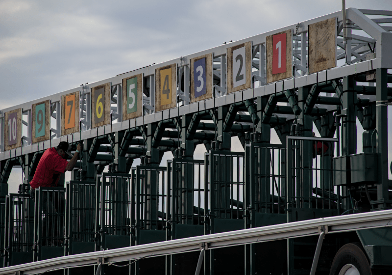 本家ブリーダーズカップ創設の背景