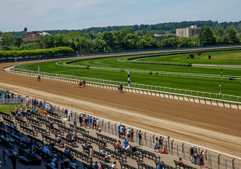 本家ブリーダーズカップ創設の背景