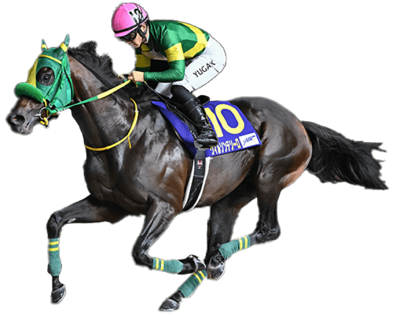 2024 winner ウィルソンテソーロ