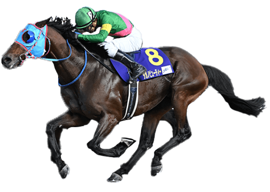 2024 winner タガノビューティー