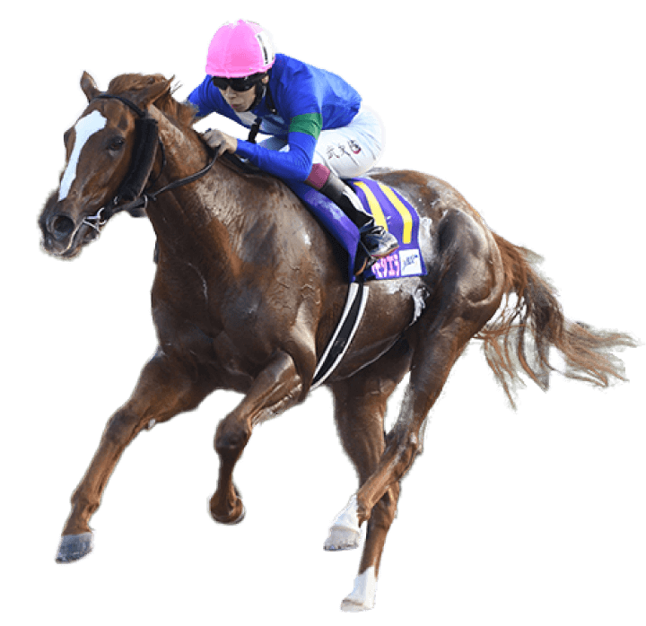 2024 winner アンモシエラ