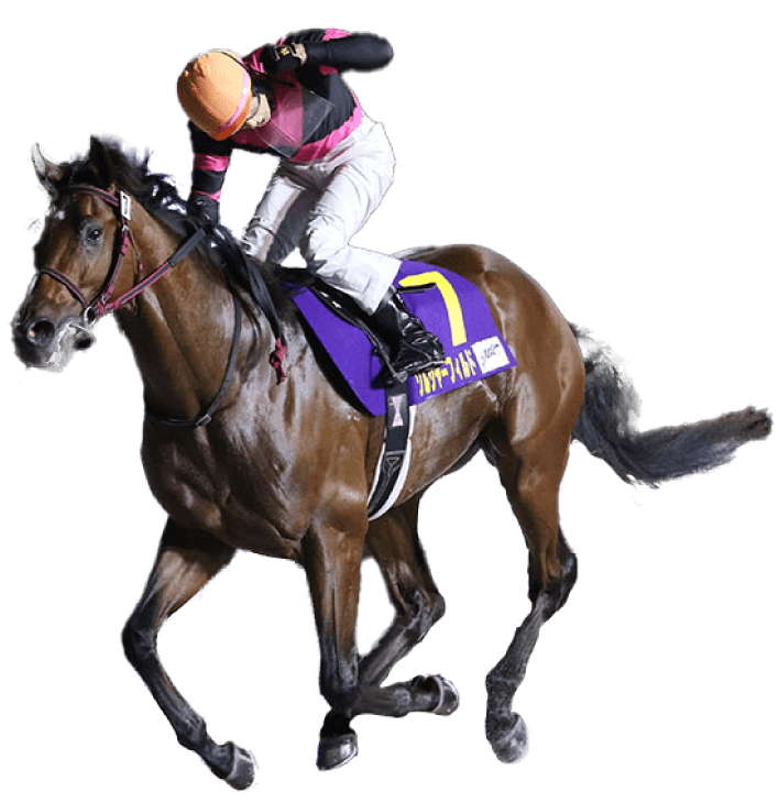 2024 winner ソルジャーフィールド