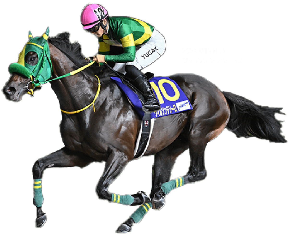 2024 winner ウィルソンテソーロ