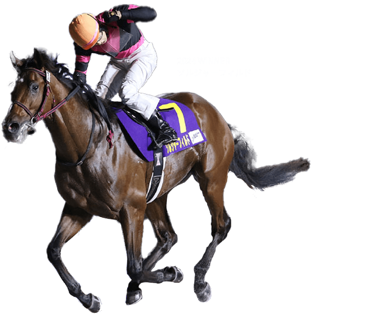 テレスコヴィッチ「競馬場」リトグラフ49/95額56×74.5絵37×55cm JBC2025特設サイト