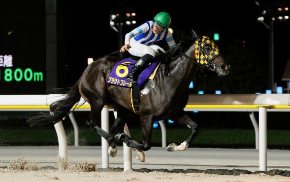 プラウドフレール