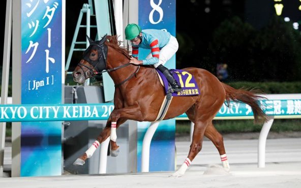 ヤマニンチェルキ