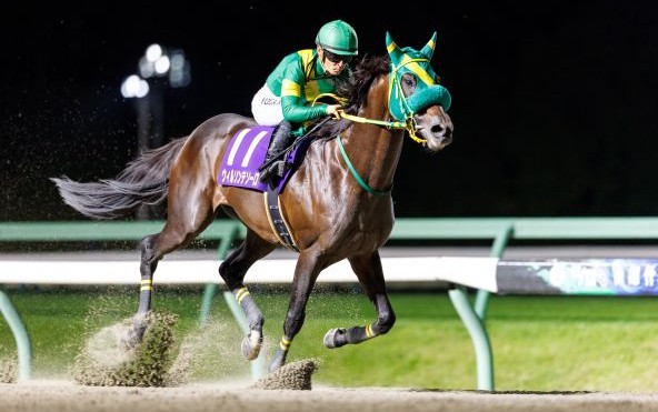 ウィルソンテソーロ