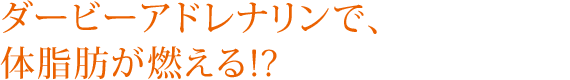 ダービーアドレナリンで、体脂肪が燃える!?