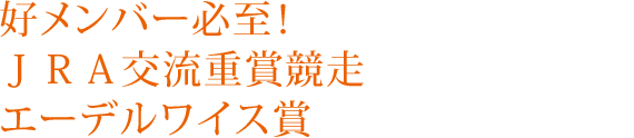 好メンバー必至！ＪＲＡ交流重賞競走エーデルワイス賞