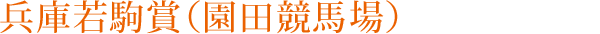 兵庫若駒賞（園田競馬場）