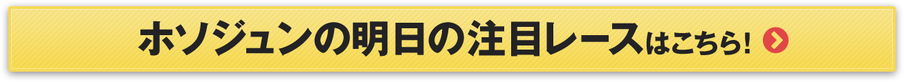 ホソジュンの注目レースはこちら