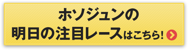 ホソジュンの注目レースはこちら