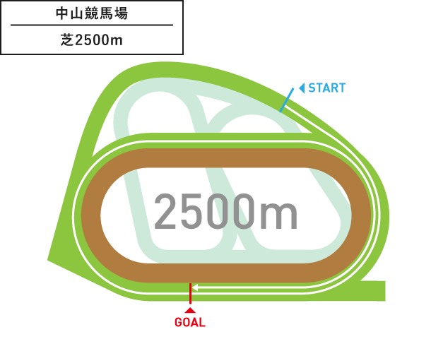 中山競馬場 芝2,500m