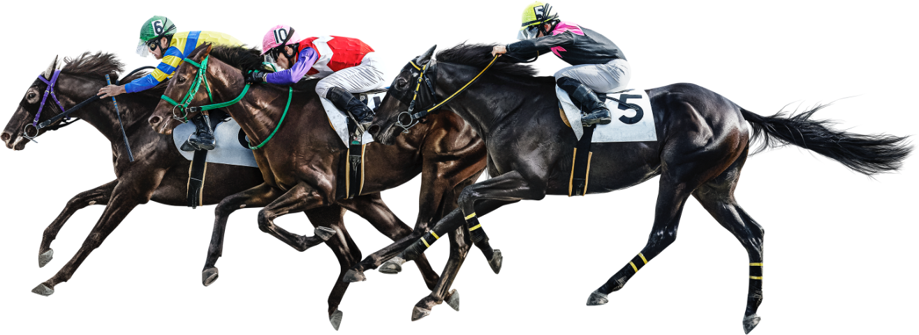 そこに競馬がある限り。|競馬プレミアムウィーク公式サイト