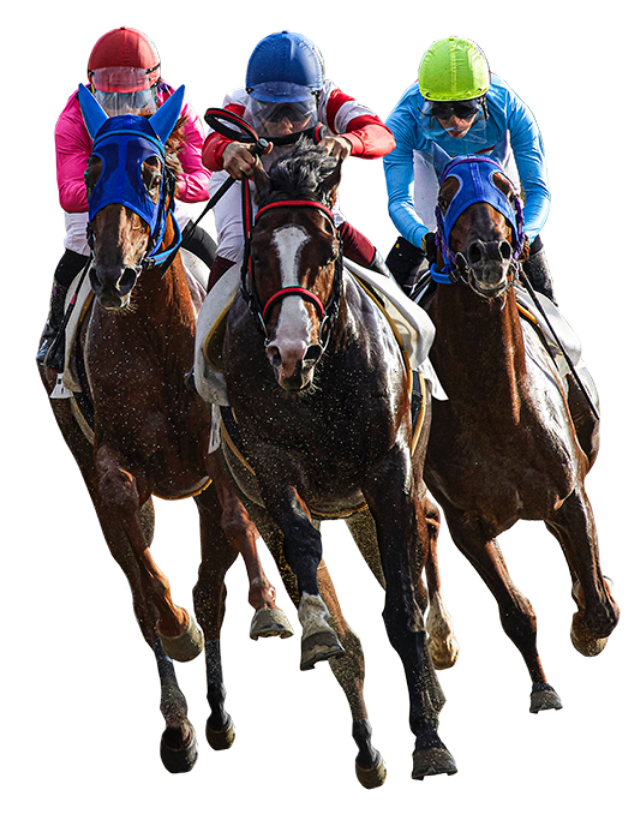 そこに競馬がある限り 競馬プレミアムウィーク公式サイト そこに競馬がある限り 競馬プレミアムウィーク公式サイト