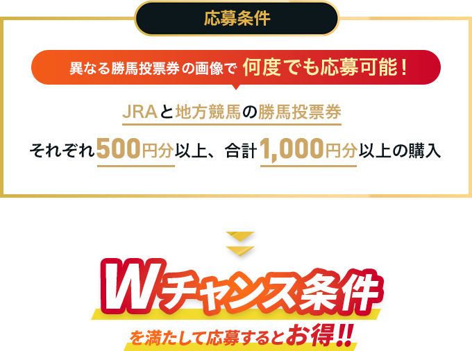 異なる勝馬投票券の画像で何度でも応募可能！ JRAと地方競馬の勝馬投票券それぞれ500円以上、合計1,000円以上の購入 Wチャンス条件を満たして応募するとお得!!