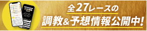 無料の予想情報でレースの主役を見つけよう