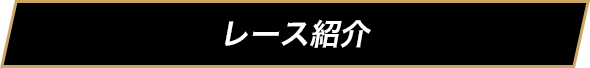 レース紹介