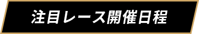 注目レース開催日程