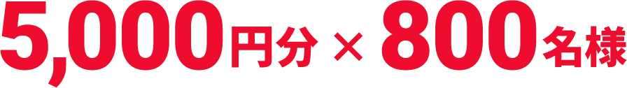 5,000円分 × 800名様