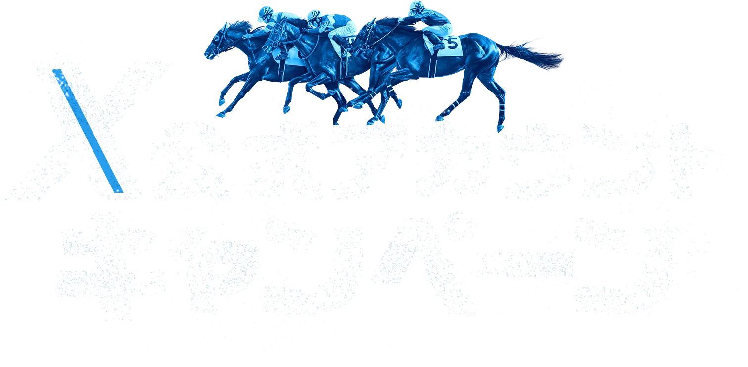 X公式アカウントキャンペーン,2023.12.6(水)より開催中!