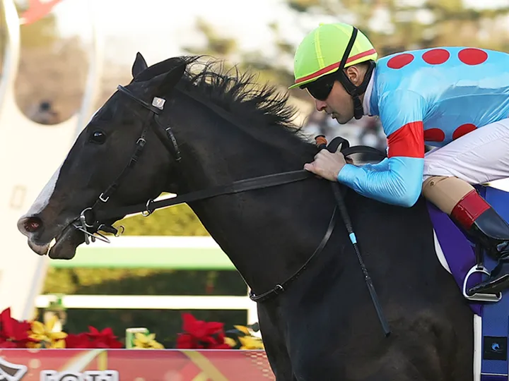 出馬表｜有馬記念｜[年末年始競馬]競馬プレミアムウィーク公式サイト