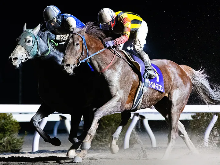 宇都宮競馬 JRA 中央競馬騎手招待競走 栃木県知事 トロフィー 500px-2010_Kokura_Kinen.jpg