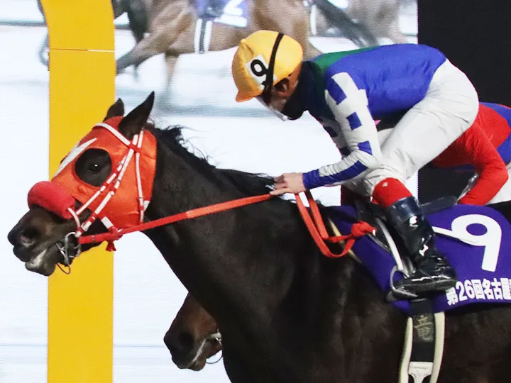 レース紹介｜名古屋記念｜[年末年始競馬]競馬プレミアムウィーク