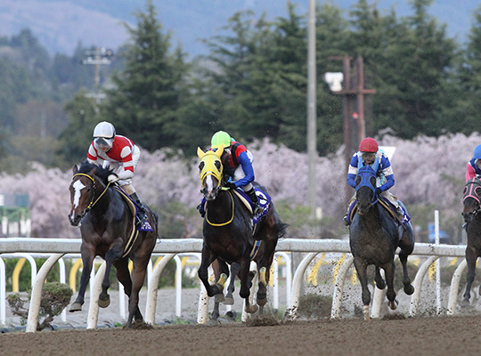 既にJRAの馬主資格をお持ちの方へ