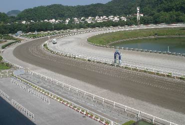 高知競馬場