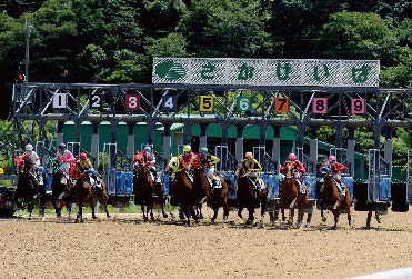 佐賀競馬場