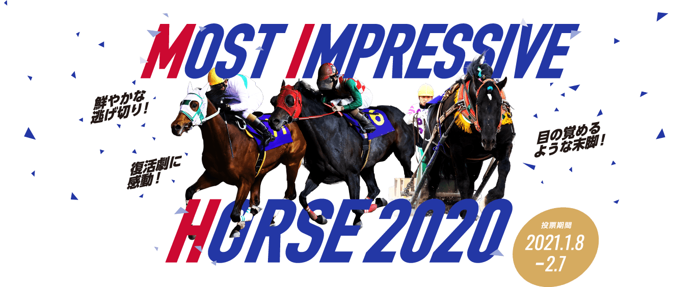 MOST IMPRESSIVE HORSE 2020