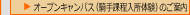I[vLpX(Rے̌)̂ē