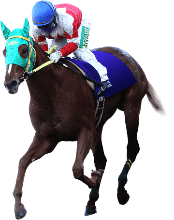 New がある 地方競馬 19地方競馬スペシャルサイト New がある 地方競馬 19地方競馬スペシャルサイト