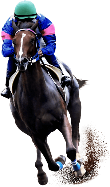 New がある 地方競馬 19地方競馬スペシャルサイト New がある 地方競馬 19地方競馬スペシャルサイト