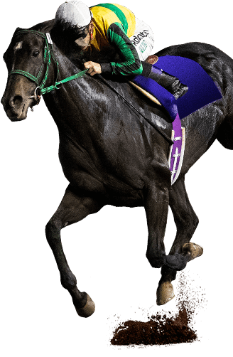 New がある 地方競馬 19地方競馬スペシャルサイト New がある 地方競馬 19地方競馬スペシャルサイト