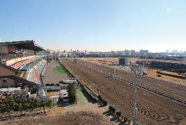 船橋競馬場