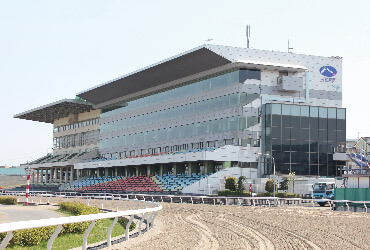 浦和競馬場