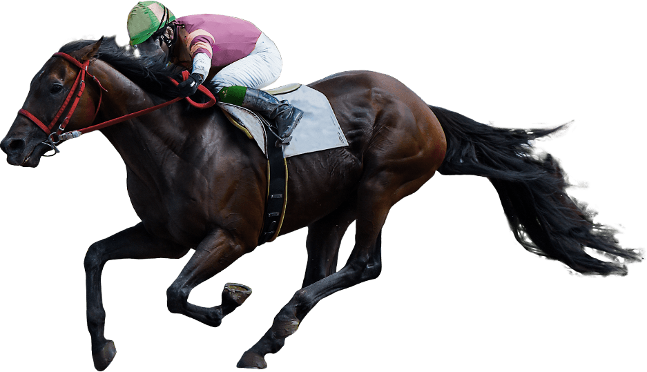 第44回桐花賞 水沢競馬場 | 注目のレース分析 | 地方競馬 年末