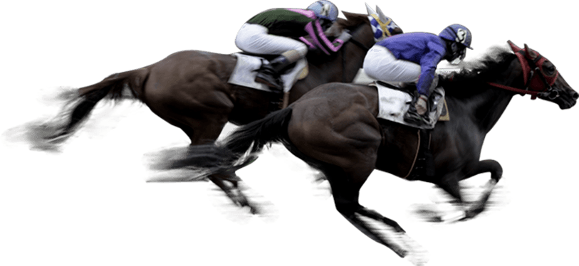 トウケイニセイラストラン　第21回桐花賞　単勝馬券　岩手競馬 観覧券セット トウケイニセイラストラン 第21回桐花賞 単勝馬券 岩手競馬 観覧
