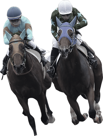 第44回桐花賞 水沢競馬場 | 注目のレース分析 | 地方競馬 年末