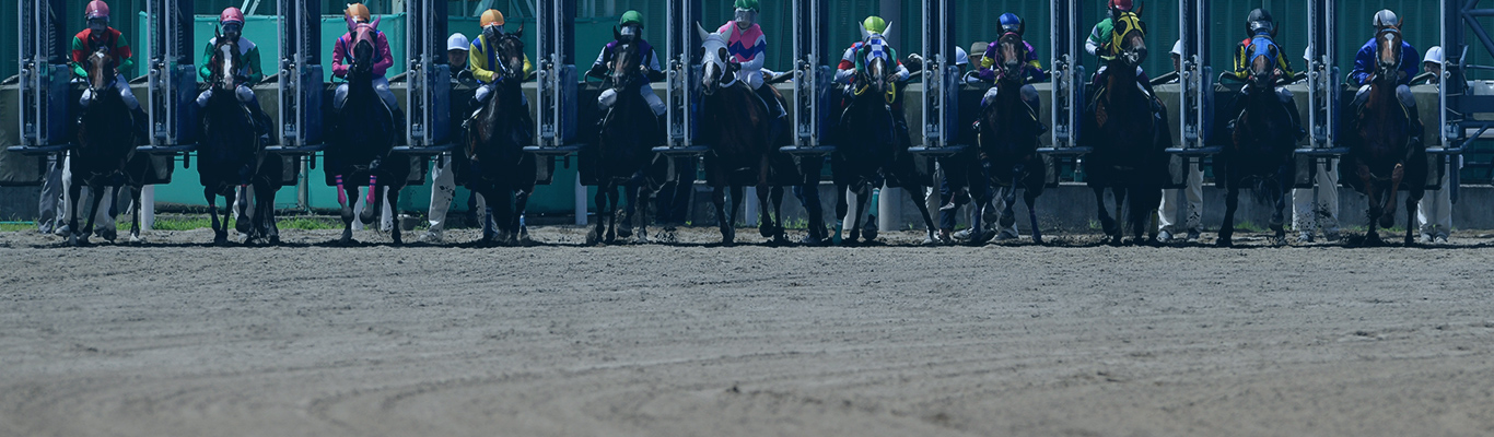 第44回桐花賞 水沢競馬場 | 注目のレース分析 | 地方競馬 年末