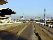 川崎競馬写真